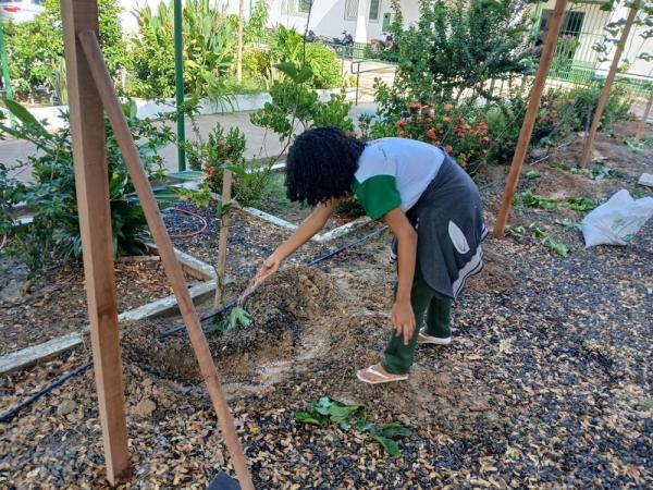 Em Castelo do Piauí, estudantes da rede estadual transformam escola em espaço de sustentabilidade e inovação(Imagem:Divulgação)