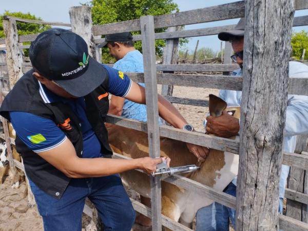 O criador que ficar inadimplente com a vacinação será multado e impedido de comercializar animais de sua propriedade.(Imagem:Divulgação)