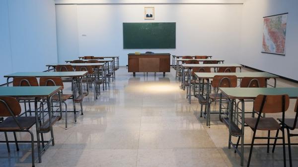 Censo Escolar 2021: rede pública tem aumento de matrículas no ensino médio e queda no infantil(Imagem:Ivan Aleksic)