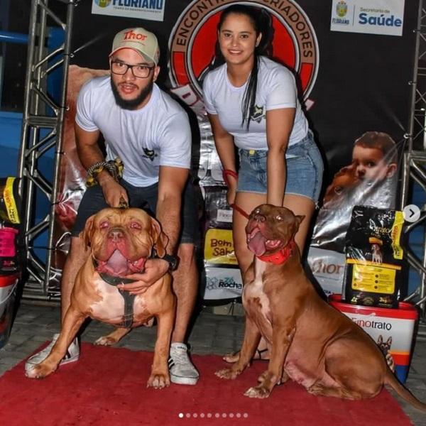 Encontro de criadores de pitbulls em Floriano celebra 7 anos do grupo e combate preconceitos.(Imagem:Reprodução/Instagram)