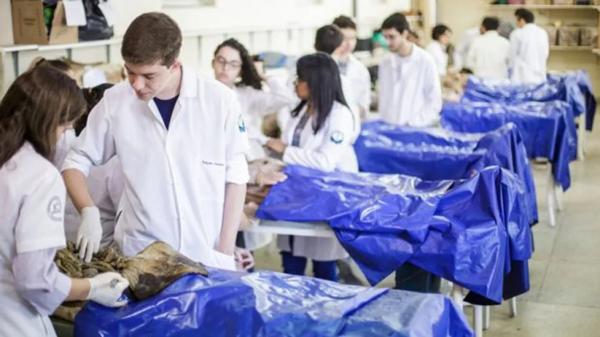 Alunos de medicina em aula prática de anatomia.(Imagem:Bruno Figueiredo)