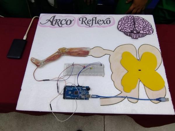 Projeto de rob&oacute;tica (Imagem:Ascom Seduc)