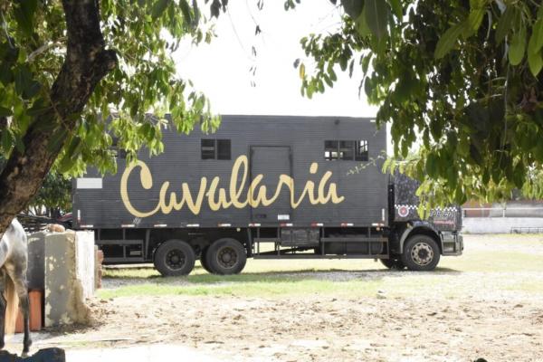 Cavalaria da PM garante segurança pública e inclusão social.(Imagem:Francisco Leal)