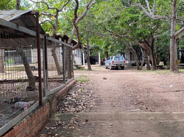 Casal é encontrado morto em chácara em Teresina e polícia investiga suspeita de feminicídio(Imagem:Aniele Brandão)