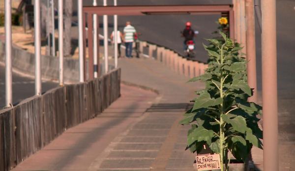 Sábado (26) e domingo (27) terão temperaturas de até 39°, no Piauí, com umidade entre 15% e 33%(Imagem:Reprodução)