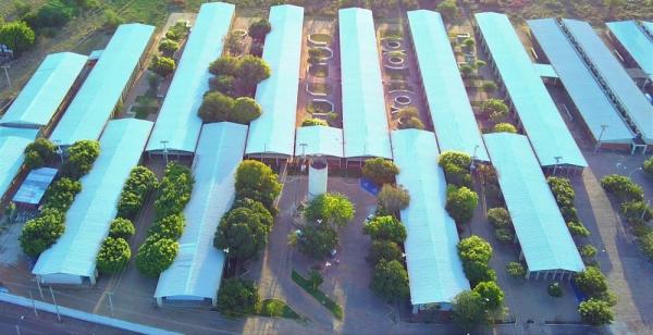 Governo Federal autoriza abertura de cursos com 500 vagas da UFPI; veja áreas e cidades.(Imagem:Ascom UFPI)
