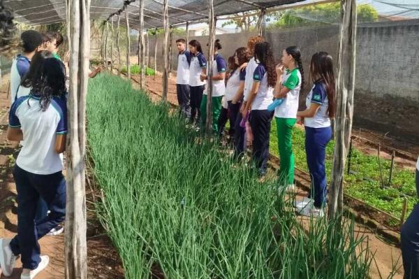Estudantes da rede estadual transformam horta escolar em exemplo de sustentabilidade e aprendizado em Valença(Imagem:Ascom Seduc)