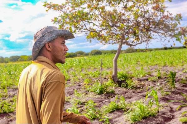 O benefício é destinado a agricultores que tiveram perdas na safra no ano agrícola 2022/2023 por conta da estiagem ou de enchente.(Imagem:Divulgação)