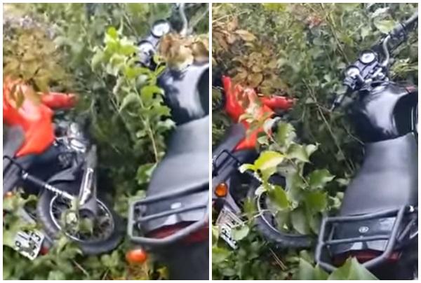 PM recupera duas motocicletas em matagal de Floriano.(Imagem:Reprodução)