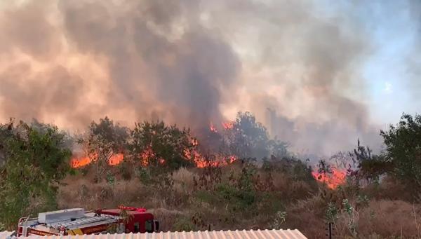 Incêndio atinge matagal na Zona Sul de Teresina(Imagem:Reprodução)