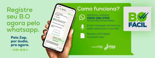 Governo do Piau&iacute; facilita den&uacute;ncias e registra mais de 50 mil ocorr&ecirc;ncias pelo BO F&aacute;cil; saiba como usar(Imagem:Divulga&ccedil;&atilde;o)