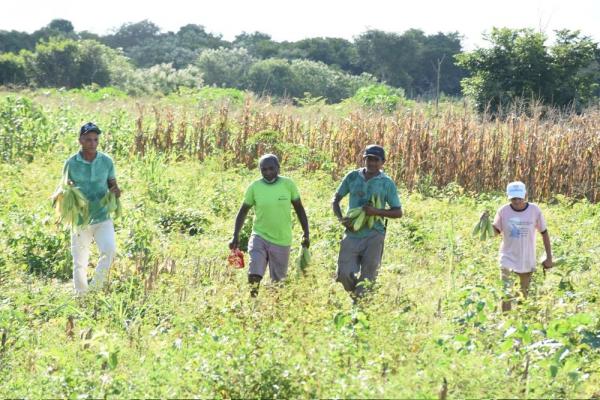 Agricultores(Imagem:Divulgação)