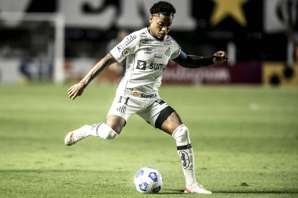 Com 50 pontos conquistados, o Santos terminou a competição nacional na 10ª colocação.(Imagem:Reprodução)