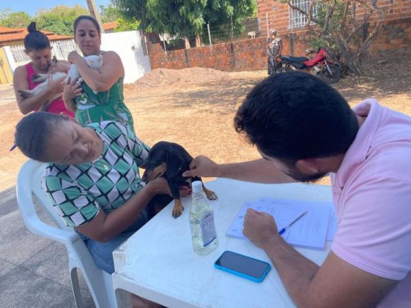 Programa Meu Amigo Pet leva cuidados aos animais e incentiva sustentabilidade no Cajueiro II.(Imagem:Secom)