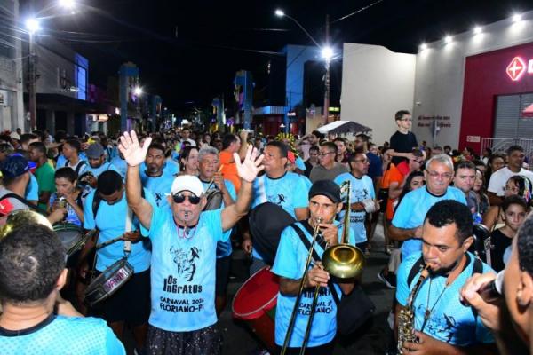 Desfile das Escolas de Samba encanta p&uacute;blico na Avenida Get&uacute;lio Vargas.(Imagem:Secom)