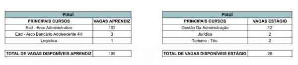 CIEE abre 122 vagas para estágio e jovem aprendiz no Piauí; confira(Imagem:Divulgação/CIEE)