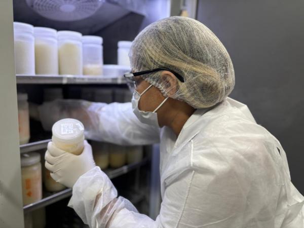 Foram beneficiados 2.786 beb&ecirc;s prematuros, por meio das doa&ccedil;&otilde;es de m&atilde;es lactantes.(Imagem:Ascom NMDER)