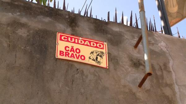 Bebê morreu em decorrência de ataque de cachorro na Zona Sul de Teresina.(Imagem:Reprodução/TV Clube)