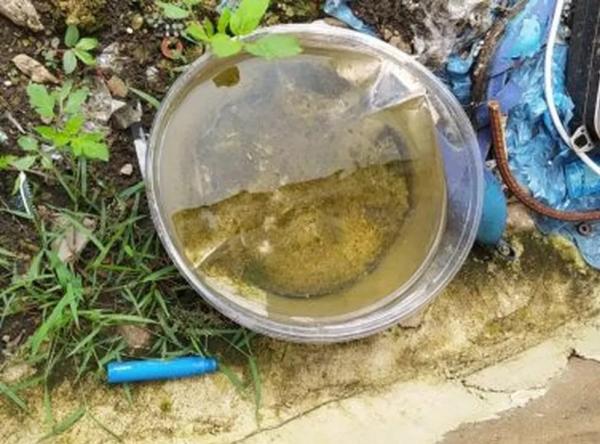 Evite água parada que são criadouros do mosquito aedes aegypti.(Imagem:Prefeitura de Patos de Minas/Divulgação)