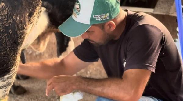 Investimentos na produção de leite aumentam renda de agricultores familiares e beneficiam 6 mil famílias em vulnerabilidade social(Imagem:Ascom SAF)