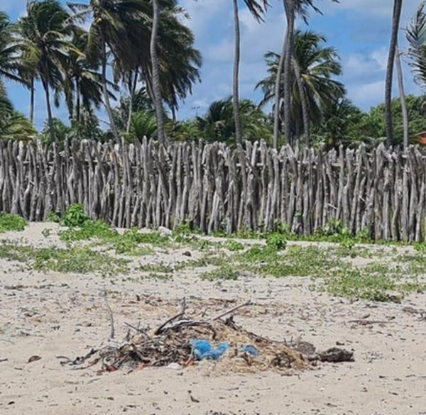 Moradores registram lixo queimado e até seringa em praia do Piauí.(Imagem: Arquivo pessoal)