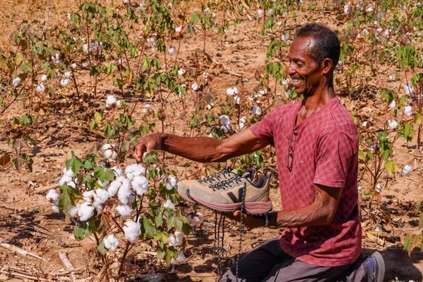 Manoel Aragão mostra tênis que é fabricado a partir do algodão orgânico cultivado por ele.(Imagem:Geirlys Silva / SAF)