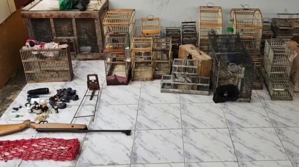 Homem é preso suspeito de maus-tratos animais após desmantelo de rinha de galo em Pio IX.(Imagem:Reprodução/PMPI)
