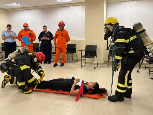 Com mais de 500 brigadistas formados, meta do Piau&iacute; &eacute; ultrapassar 2 mil profissionais capacitados at&eacute; 2026(Imagem:Ascom Sead)