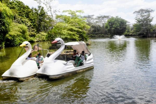 Bioparque Zoobot&acirc;nico(Imagem:Francisco Leal)