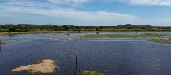 Chuvas causam prejuízos para produtores de arroz do Norte do Piauí(Imagem:TV Clube)