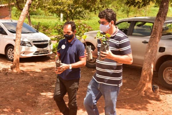 Projeto de incentivo à fruticultura beneficia famílias da zona rural de Floriano(Imagem:SECOM)