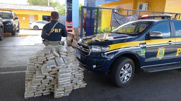PRF apreende 233 kg de maconha e 5 kg de cocaína escondida em caminhão na BR-343, em Piripiri.(Imagem:Divulgação/PRF)