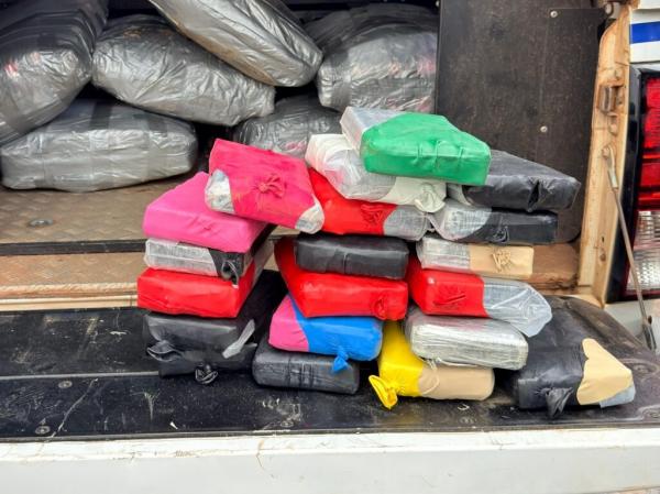 SSP-PI participa de apreens&atilde;o de meia tonelada de entorpecentes, em Caxias, com apoio de c&atilde;es farejadores(Imagem:Ascom SSP-PI)