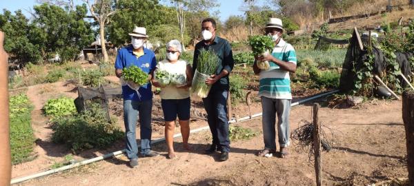 Parceria entre prefeitura e Rotary Club, contribui com a comercialização de hortaliças(Imagem:FlorianoNews)