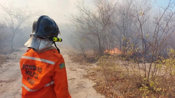 Incêndio atinge Norte do Piauí há mais de uma semana.(Imagem:Divulgação/Corpo de Bombeiros)