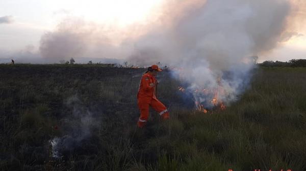 Operação monitora focos de calor e de incêndio(Imagem:Reprodução)