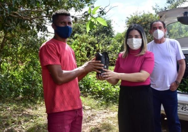 Distribuição de mudas na localidade Bom Sucesso marca Dia do Campo.(Imagem:Secom)