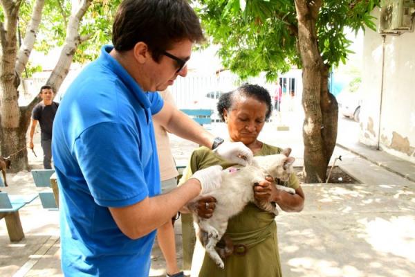Prefeitura de Floriano mobiliza população no dia D de Vacinação Antirrábica 2025(Imagem:Secom)