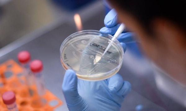 O Ministério da Saúde convocou o Centro Tecnológico de Vacinas da Universidade Federal de Minas Gerais a fim de diagnosticar, testar e desenvolver uma vacina.(Imagem:DOUGLAS MAGNO / AFP)