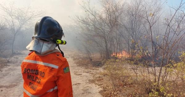 Banca divulga gabarito de prova do concurso do Corpo de Bombeiros do Piauí.(Imagem:Divulgação/Corpo de Bombeiros)