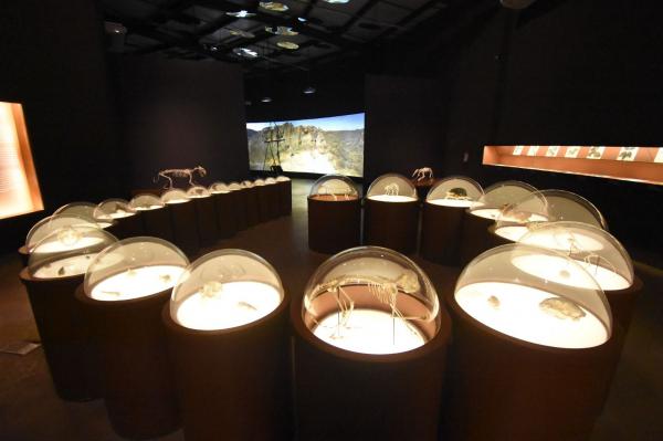 Museus da região da Serra da Capivara já receberam mais de 28 mil visitantes em 2025(Imagem:Francisco Gilásio)