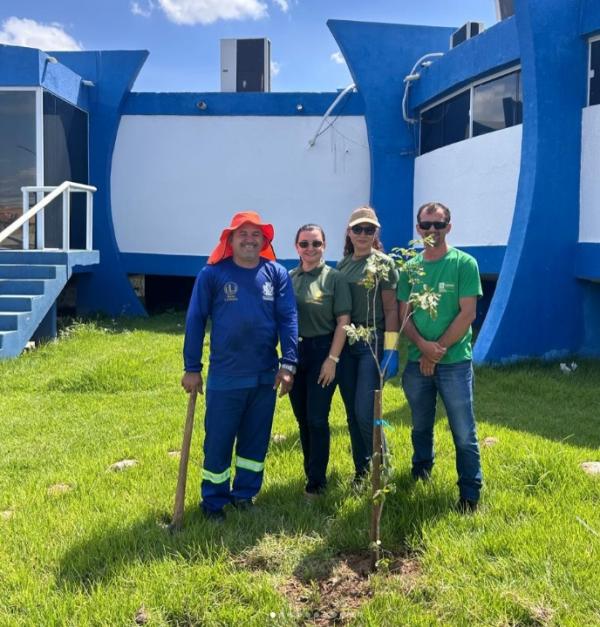 Prefeitura de Floriano refor&ccedil;a arboriza&ccedil;&atilde;o urbana com a&ccedil;&otilde;es do Programa Floriano Verde.(Imagem:Reprodu&ccedil;&atilde;o/Instagram)