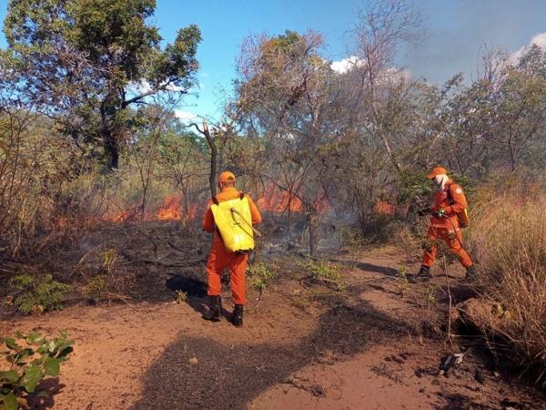 Piauí tem aumento de focos e sobe para a 6ª posição no ranking de queimadas no Brasil.(Imagem:Corpo de Bombeiros)