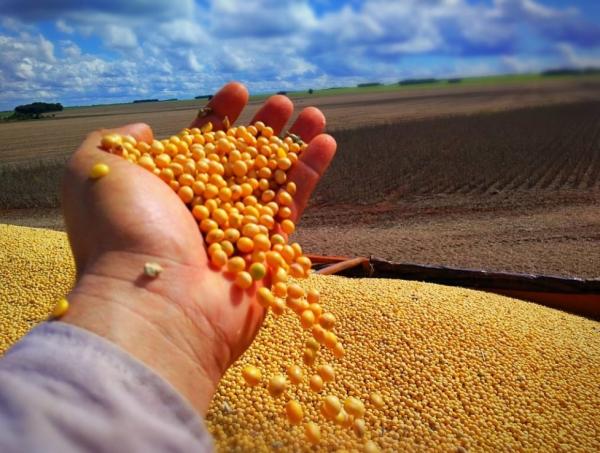 A produção conjunta de soja e milho alcançará cerca de 6,4 milhões de toneladas representando 95,5% do total da produção de grãos do Piauí.(Imagem:Aprosoja/Mario Oliveira)
