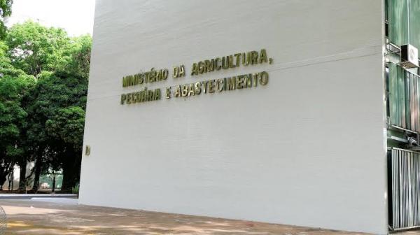 Ministério da Agricultura abre concurso com 60 vagas e salário de R$ 8,3 mil(Imagem:Divulgação)