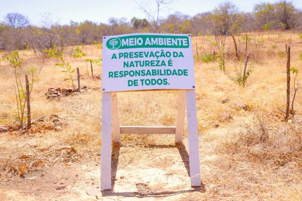 No Dia do Cerrado, Piauí mostra que dá para crescer sem destruir(Imagem:Divulgação)