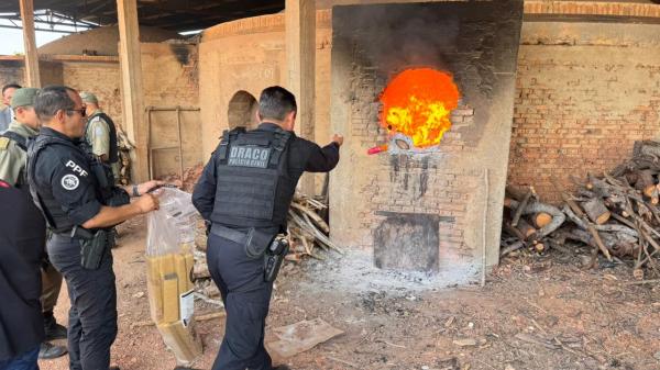 A incineração ocorreu em local apropriado, com autorização judicial e acompanhamento de órgãos fiscalizadores, garantindo o cumprimento de todas as normas legais.(Imagem:Ascom SSP-PI)