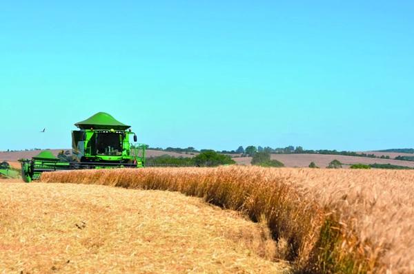 Setor representou 47,8% das vendas externas totais do Brasil no período, um pouco acima dos 47,3% observados no primeiro trimestre de 2023.(Imagem:Shutterstock)