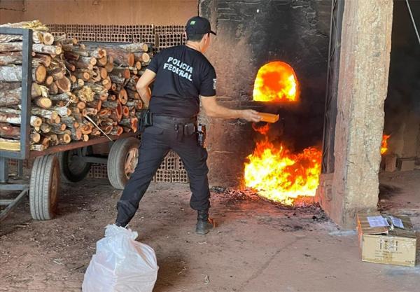 Polícia Federal incinera 350 kg de drogas apreendidas em operações no Piauí(Imagem:Divulgação/PF)