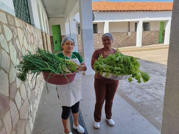 Estudantes da rede estadual transformam horta escolar em exemplo de sustentabilidade e aprendizado em Valença(Imagem:Ascom Seduc)